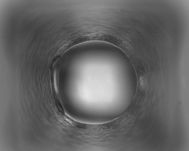 X0000052950963200507151705
