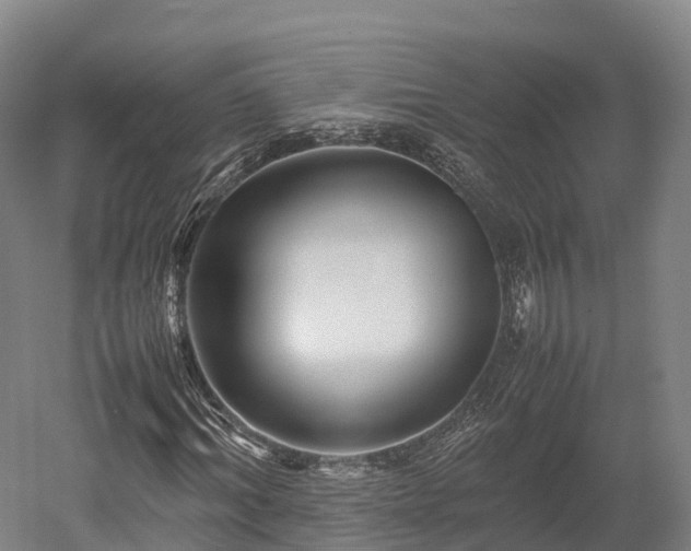 X0000052950964200507151705