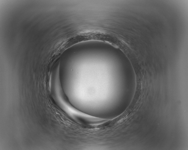 X0000052950965200507151705