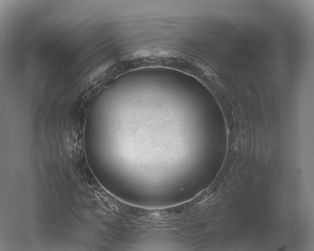 X0000052950966200507151705