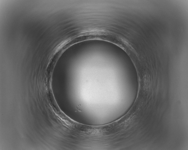 X0000052950970200507151705