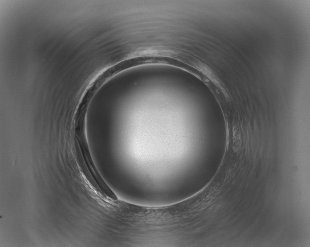 X0000052950972200507151705