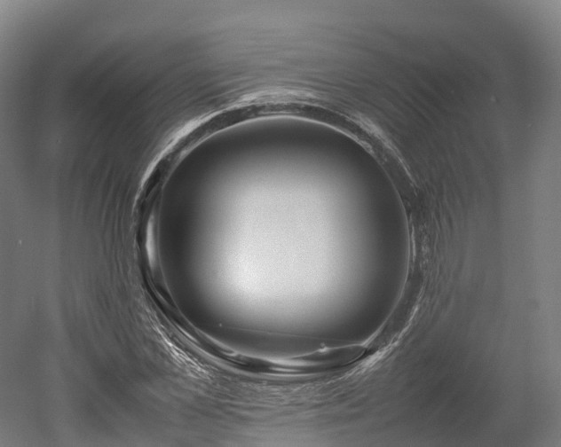 X0000052950973200507151705