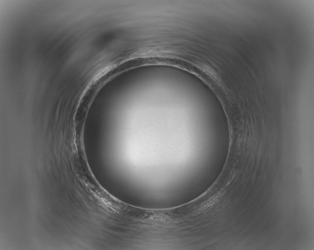 X0000052950974200507151705