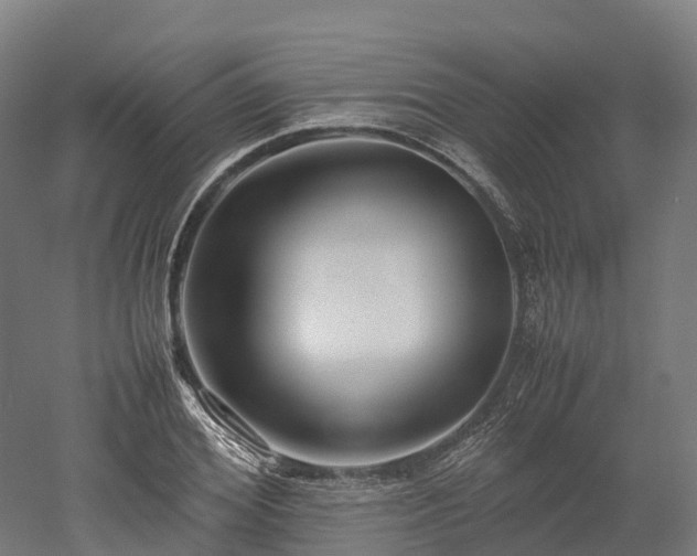 X0000052950980200507151705