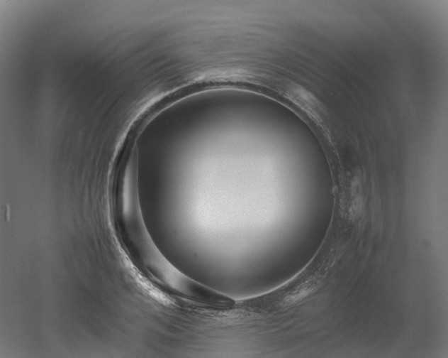 X0000052950984200507151705