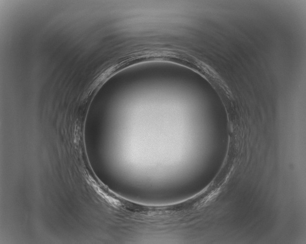 X0000052950985200507151705