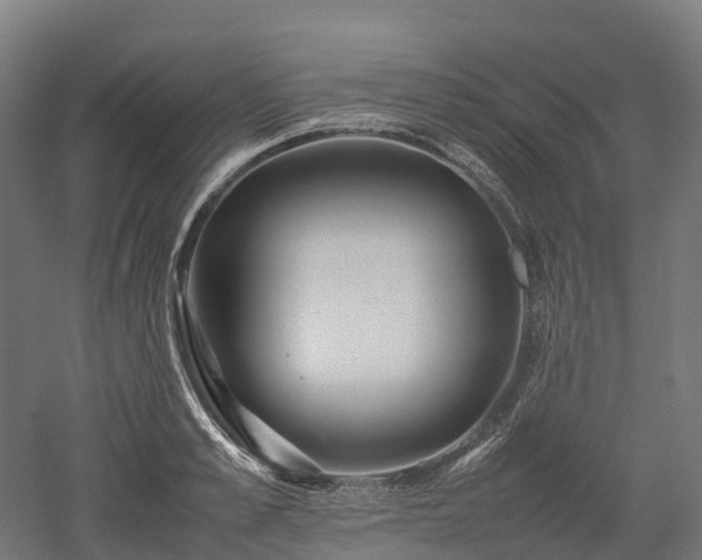 X0000052950989200507151704
