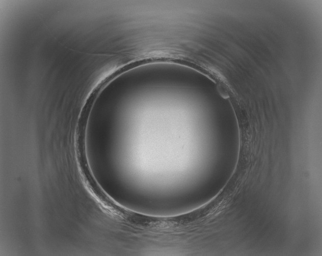 X0000052950991200507151704