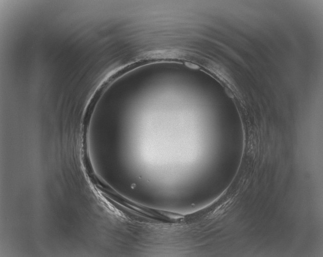 X0000052950992200507151704