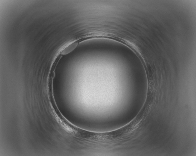 X0000052950995200507151704