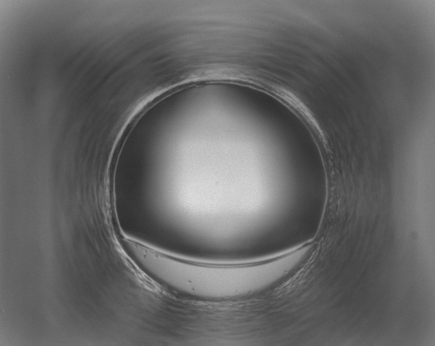 X0000052950996200507151704