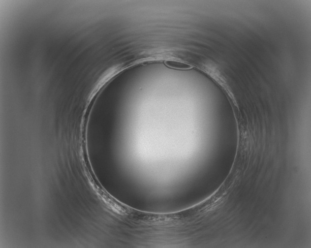 X0000052951002200507151704