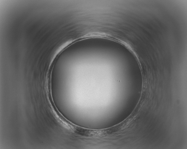 X0000052951003200507151704
