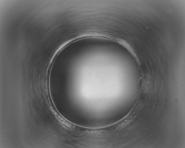 X0000052951004200507151704