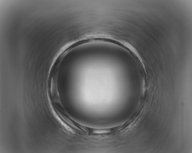 X0000052951005200507151704