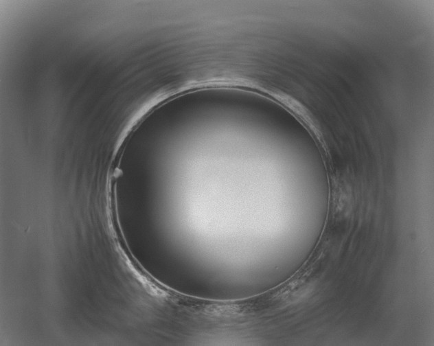 X0000052951006200507151704