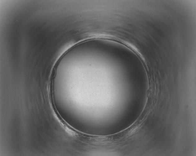 X0000052951007200507151704