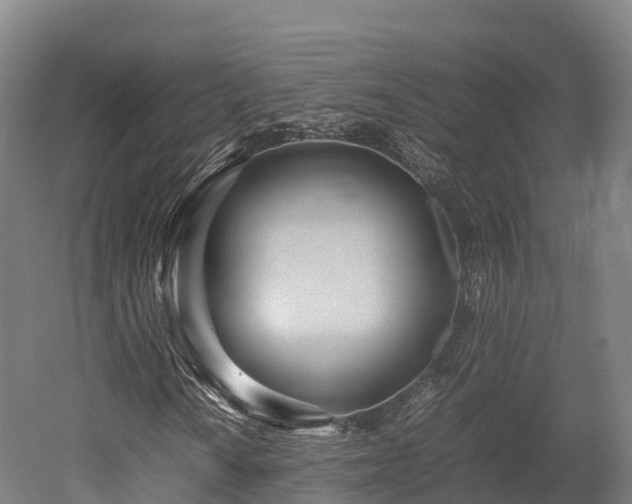 X0000052951010200507151703