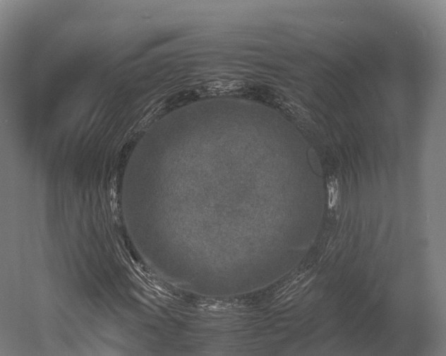 X0000052951011200507151703