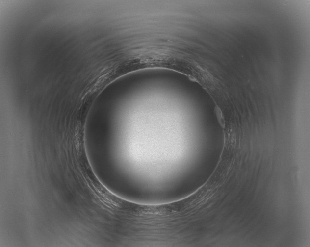 X0000052951012200507151703