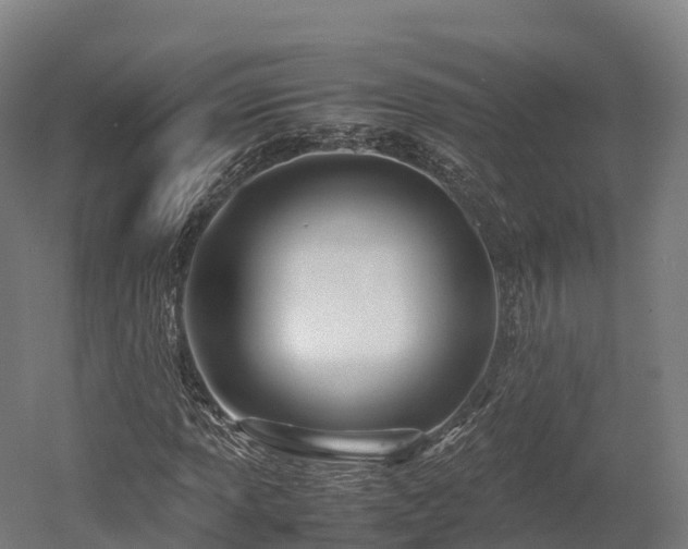 X0000052951013200507151703