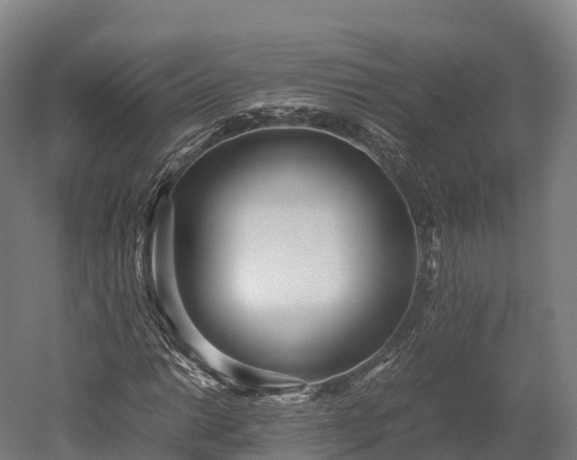 X0000052951014200507151703