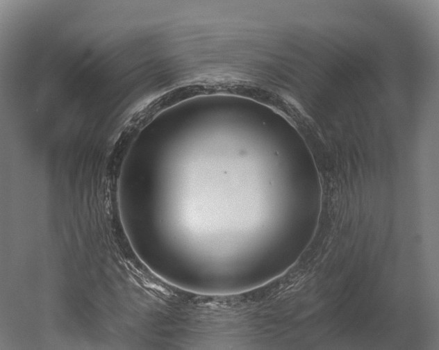 X0000052951016200507151703