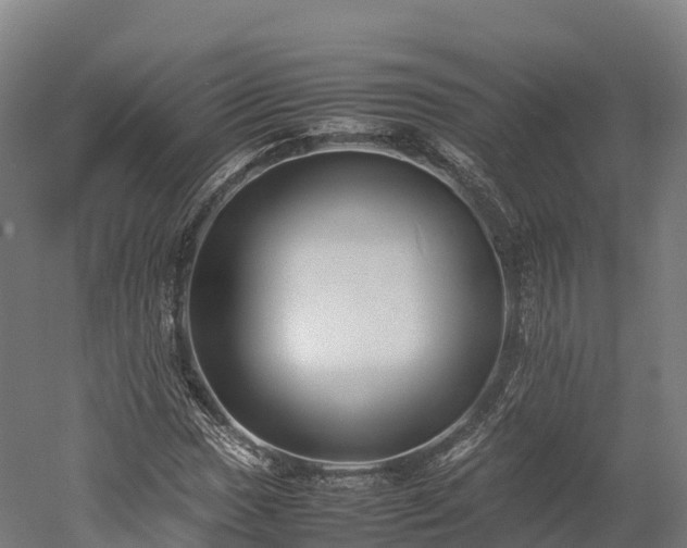 X0000052951017200507151703