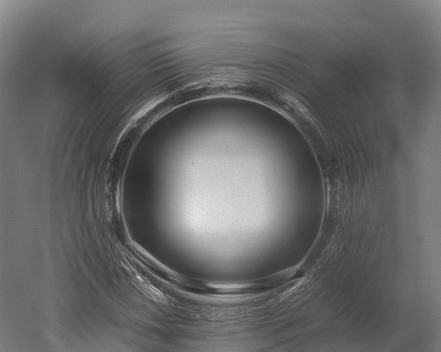 X0000052951018200507151703