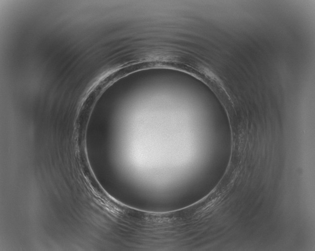 X0000052951019200507151703