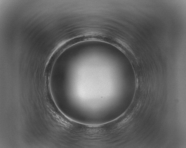 X0000052951021200507151704