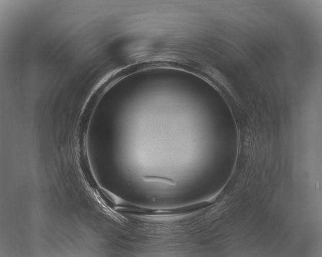 X0000052951024200507151704