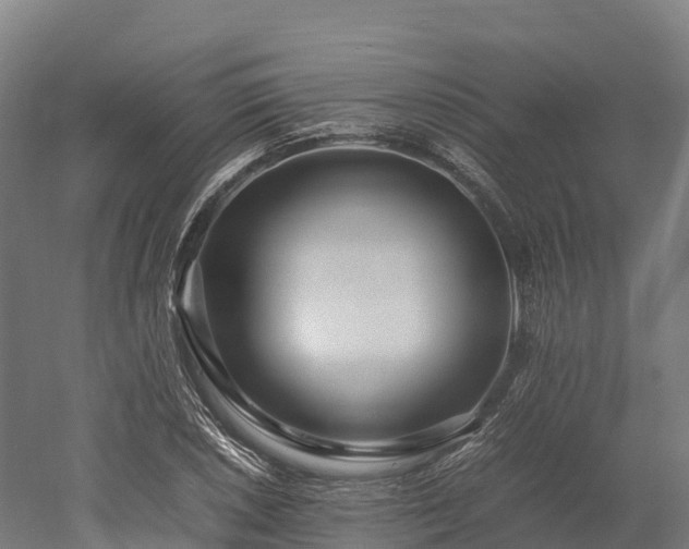 X0000052951026200507151704