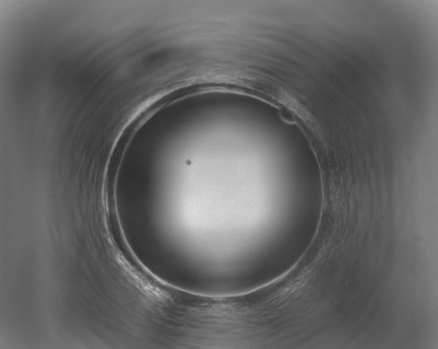 X0000052951028200507151704