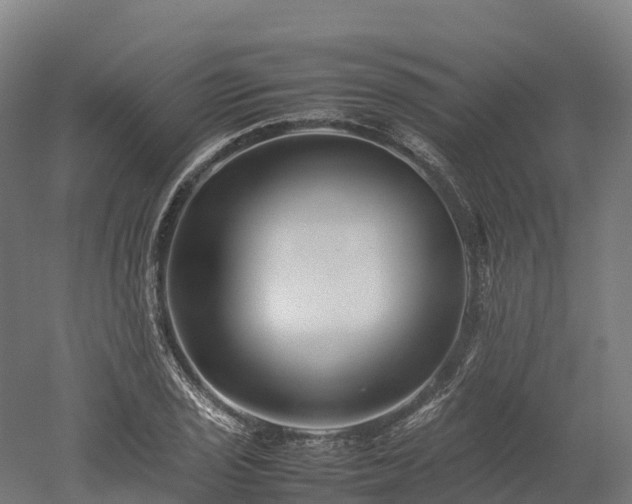 X0000052951029200507151704