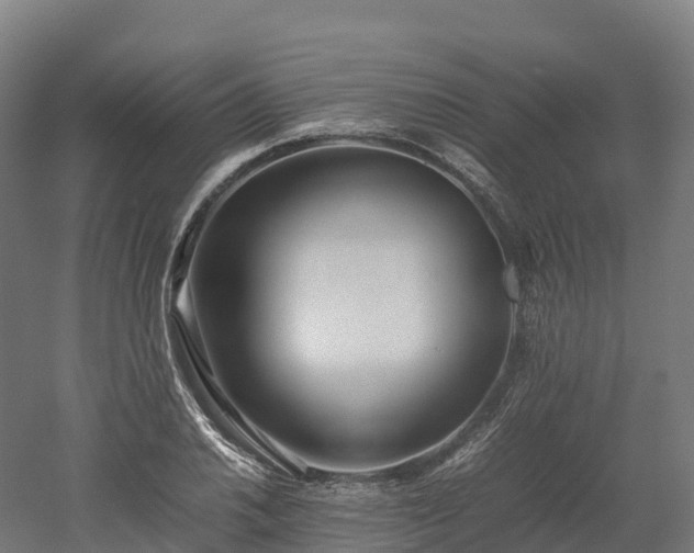 X0000052951030200507151704