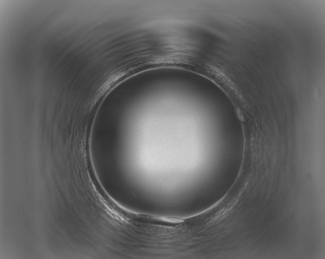 X0000052951033200507151704