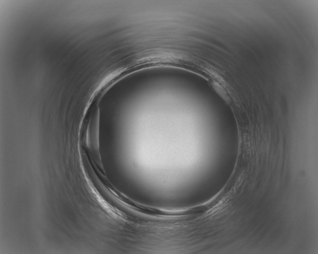 X0000052951034200507151704