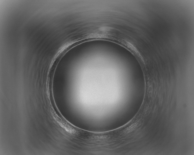 X0000052951035200507151704