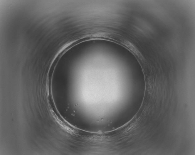 X0000052951036200507151704