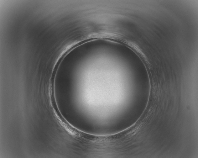 X0000052951040200507151704