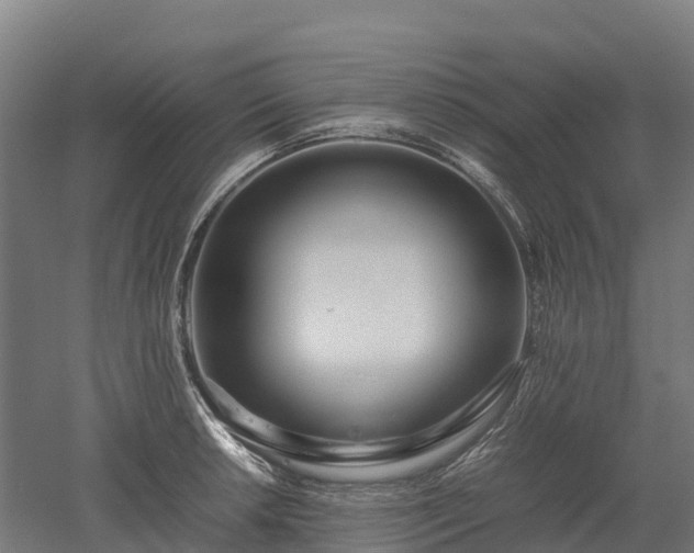 X0000052951042200507151704