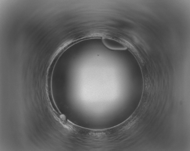 X0000052951043200507151704