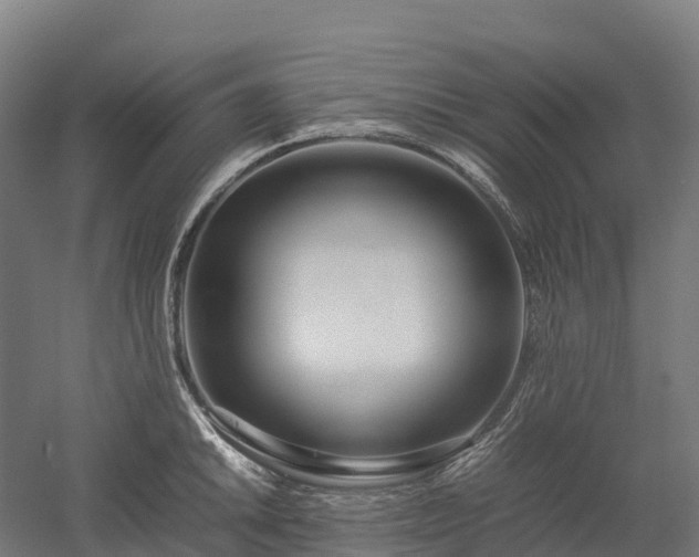 X0000052951046200507151704