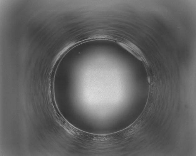 X0000052951051200507151704