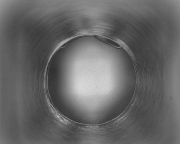 X0000052951052200507151704