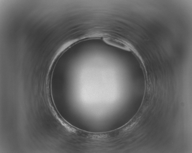 X0000052951053200507151704