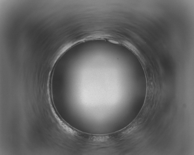 X0000052951055200507151704