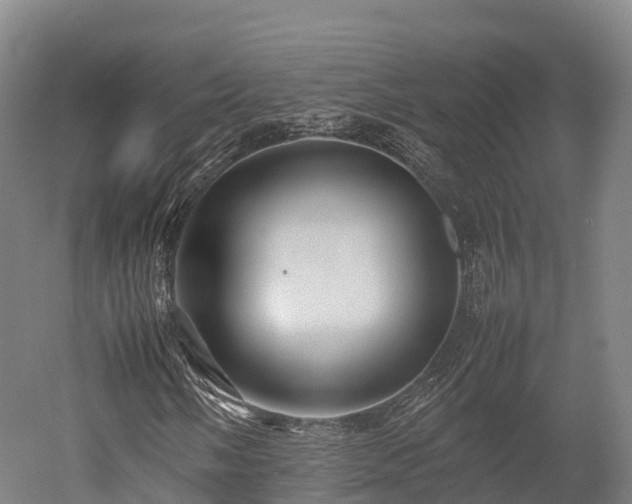 X0000052951058200507151703
